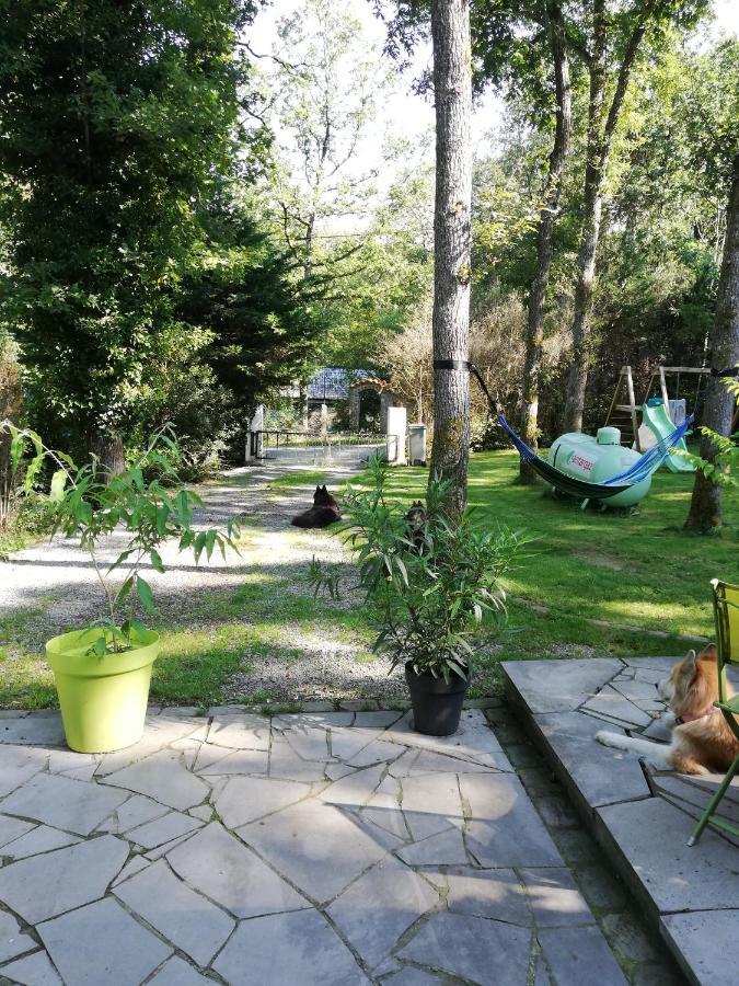Titi'S Chalet Durbuy Luaran gambar
