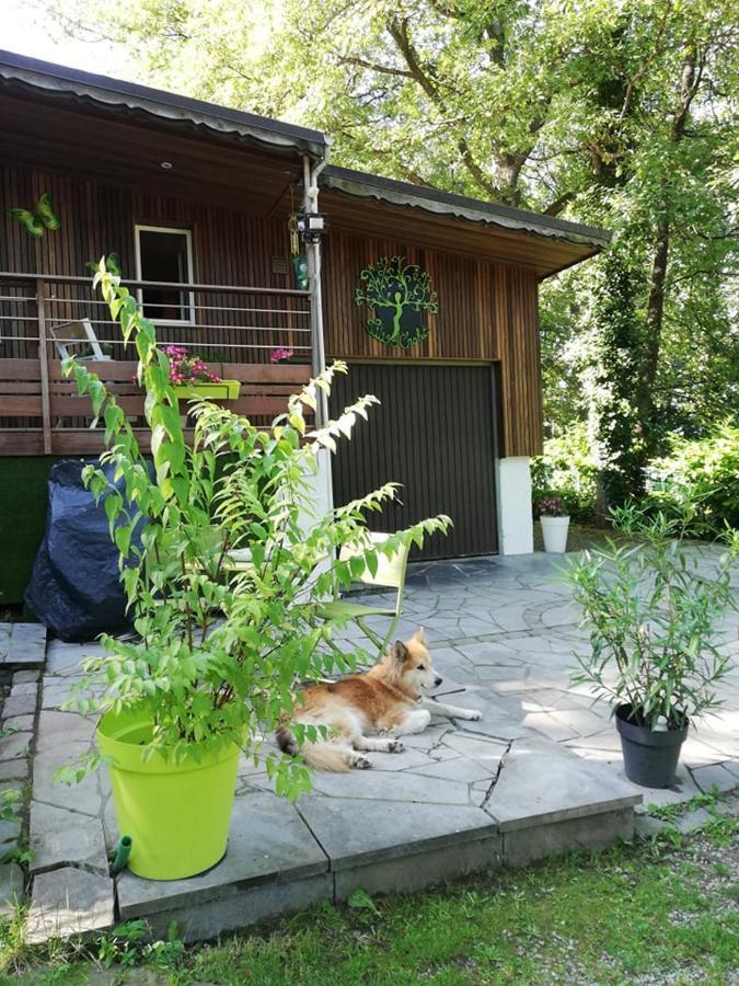 Titi'S Chalet Durbuy Luaran gambar